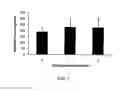 Fig. 08 - Fluorescent Chemical Dye for Visualization of Neural Stem Cell Symmetric and Asymmetric Division