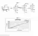 Fig. 03 - Method of diagnosing galactosemia in neonatal screening