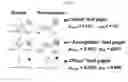 Fig. 03 - Methods and compositions for detecting misfolded proteins