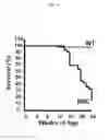 Fig. 02 - USE OF IGFBP-7 IN THE ASSESSMENT OF HEART FAILURE