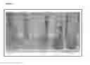 Fig. 02 - Integrity testing of hair samples