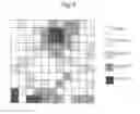 Fig. 10 - ELECTROMAGNETIC FIELD FEATURE CLASSIFICATION AND PRESENTATION DEVICE