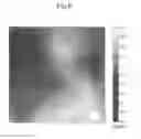 Fig. 11 - ELECTROMAGNETIC FIELD FEATURE CLASSIFICATION AND PRESENTATION DEVICE