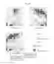 Fig. 16 - ELECTROMAGNETIC FIELD FEATURE CLASSIFICATION AND PRESENTATION DEVICE