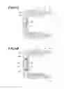 Fig. 05 - Radiation image capturing apparatus