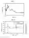 Fig. 06 - LIGHTNING-STRIKE ELECTRIC CHARGE ESTIMATION SYSTEM AND METHOD