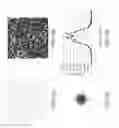 Fig. 19 - Projector having diffuser