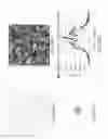Fig. 35 - Projector having diffuser