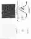 Fig. 38 - Projector having diffuser