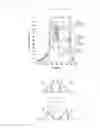 Fig. 10 - Light source device