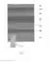 Fig. 04 - DIFFRACTIVE OPTICAL ELEMENTS AND METHODS FOR PATTERNING THIN FILM ELECTROCHEMICAL DEVICES