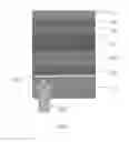 Fig. 05 - DIFFRACTIVE OPTICAL ELEMENTS AND METHODS FOR PATTERNING THIN FILM ELECTROCHEMICAL DEVICES