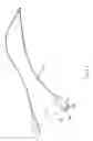 Fig. 08 - Adjustable in-situ device to stabilize and maintain positioning of eyewear on a user