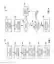 Fig. 07 - DISTRIBUTION AND SYNCHRONIZATION OF DIGITAL OBJECTS