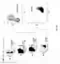 Fig. 35 - Cluster processing and ranking methods including methods applicable to clusters developed through density based merging