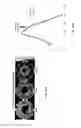 Fig. 28 - System and method for serum based cancer detection