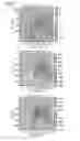 Fig. 08 - Apparatus and a method for detecting a motion of an object in a target space