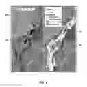 Fig. 07 - System and method for assessing riparian habitats