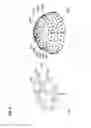 Fig. 07 - METHOD OF PROVIDING IMAGE FEATURE DESCRIPTORS