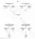 Fig. 01 - System and method for inter-bank and intra-bank mobile banking communications and transfers