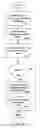 Fig. 09 - Biometric Image in Online Commerce