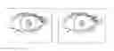 Fig. 01 - Method and apparatus for identifying living eye