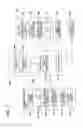 Fig. 04 - Optical image measuring apparatus
