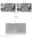 Fig. 01 - Image processing apparatus, method and computer program to adjust 3D information based on human visual characteristics