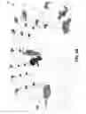 Fig. 04 - Motion-controlled body capture and reconstruction