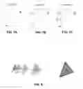 Fig. 06 - Stochastic rasterization using enhanced stencil operations on a graphics processing unit (GPU)