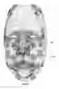 Fig. 05 - Methods and systems for generating and editing surfaces