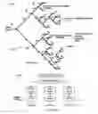 Fig. 04 - METHOD FOR PROVIDING WELLNESS-RELATED COMMUNICATIONS TO A USER