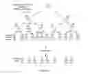 Fig. 16 - METHOD FOR PROVIDING WELLNESS-RELATED COMMUNICATIONS TO A USER