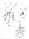 Fig. 02 - Somatosensory feedback wearable object