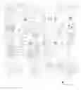 Fig. 01 - Life Experience Enhancement Illuminated by Interlinked Communal Connections