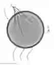 Fig. 22 - Electronic percussion instrument with enhanced playing area