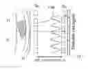 Fig. 01 - Interferometric dynamic-grating imaging method, diffraction grating and imaging apparatus