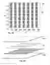 Fig. 06 - FLEXIBLE CONDUCTING MATERIALS AND METHODS FOR THE MANUFACTURE THEREOF