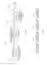 Fig. 06 - Electrostatic chuck with photo-patternable soft protrusion contact surface