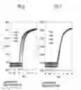 Fig. 07 - THIN-FILM TRANSISTOR AND MANUFACTURING METHOD THEREFOR