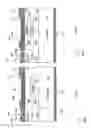 Fig. 06 - Lateral devices containing permanent charge