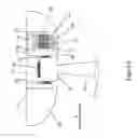 Fig. 04 - Electrical machine