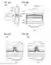 Fig. 09 - Holding circuit, driving method of the holding circuit, and semiconductor device including the holding circuit