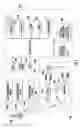 Fig. 08 - Mobile wireless communications device providing enhanced interference mitigation from wireline transmitter and related methods