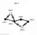 Fig. 08 - Low latency global communication through wireless networks