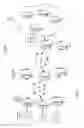 Fig. 02 - Dynamic configuration of remote capture agents for network data capture