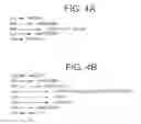 Fig. 05 - Instant messaging private tags