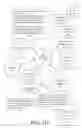 Fig. 22 - Life Experience Memorialization