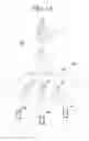 Fig. 02 - Estimation of missed information