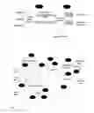 Fig. 02 - Universal Film mode detection for interlaced video stream